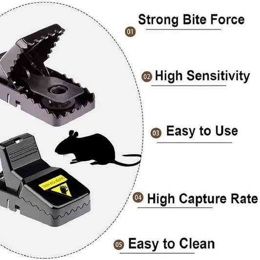 Mouse Trap